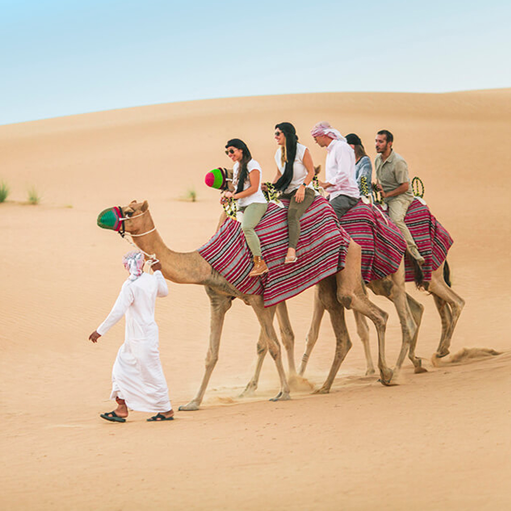 Camel Desert Safari - Adult